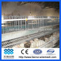 Factory Wooden Chicken Cage (BV SGS TUV FSC)